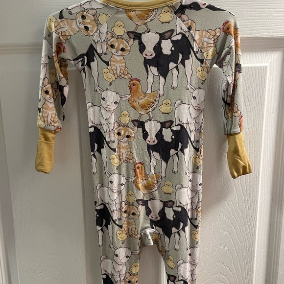 Bamboo - Picture 3 of 3